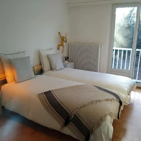 Superb Apt- Garden- 3 Parkings, Near Petite Venise ! Кольмар