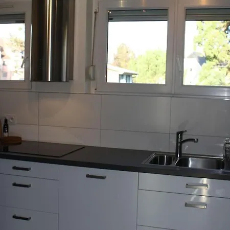 Apartamento Superb Apt- Garden- 3 Parkings, Near Petite Venise ! Colmar