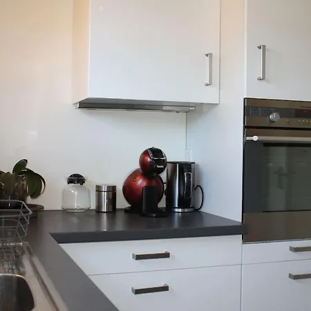 Apartamento Superb Apt- Garden- 3 Parkings, Near Petite Venise ! Colmar