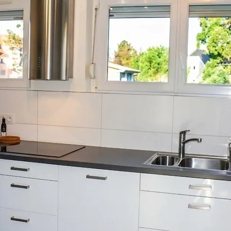 Superb Apt- Garden- 3 Parkings, Near Petite Venise ! קולמר