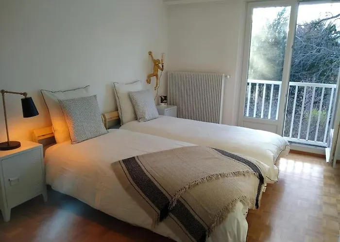 Superb Apt- Garden- 3 Parkings, Near Petite Venise ! Кольмар