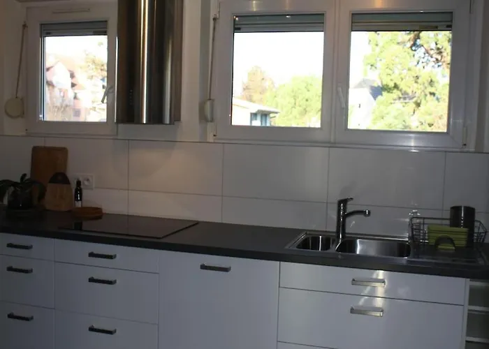 Apartament Superb Apt- Garden- 3 Parkings, Near Petite Venise ! Colmar