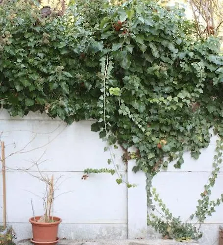 Superb Apt- Garden- 3 Parkings, Near Petite Venise ! *