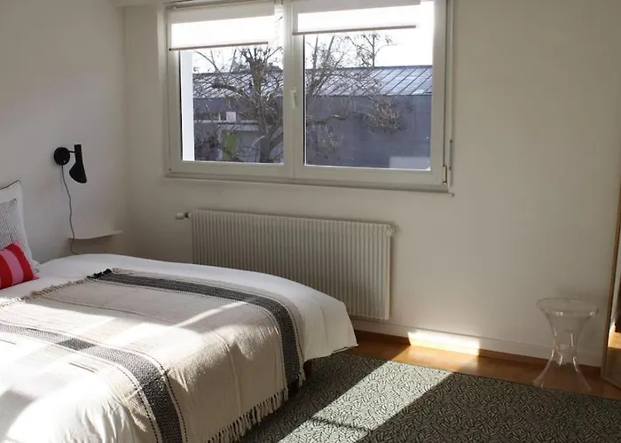 Superb Apt- Garden- 3 Parkings, Near Petite Venise ! Кольмар